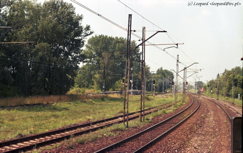Batowice