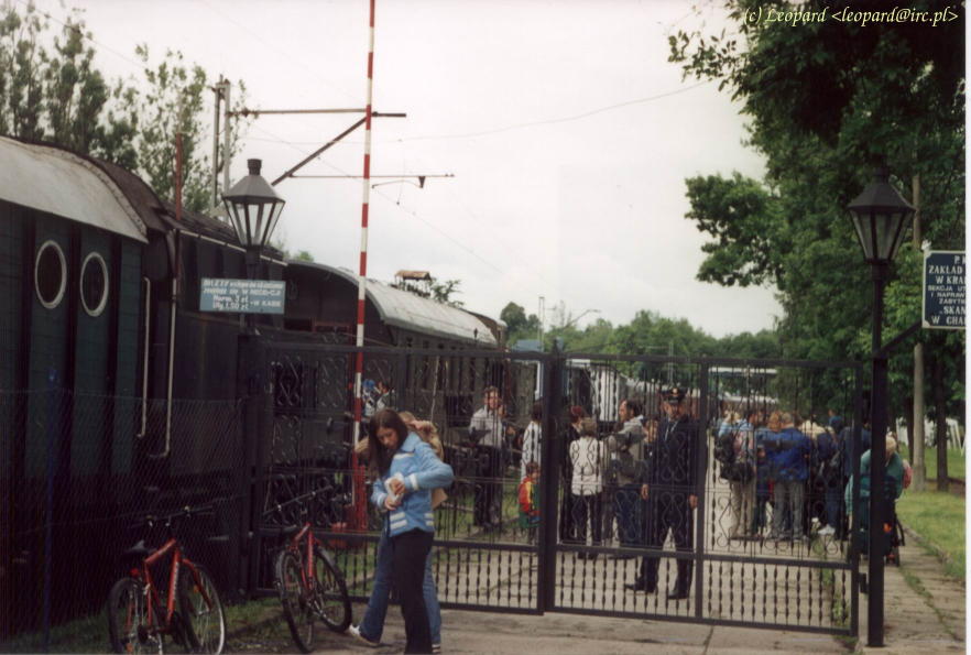 Image-02
