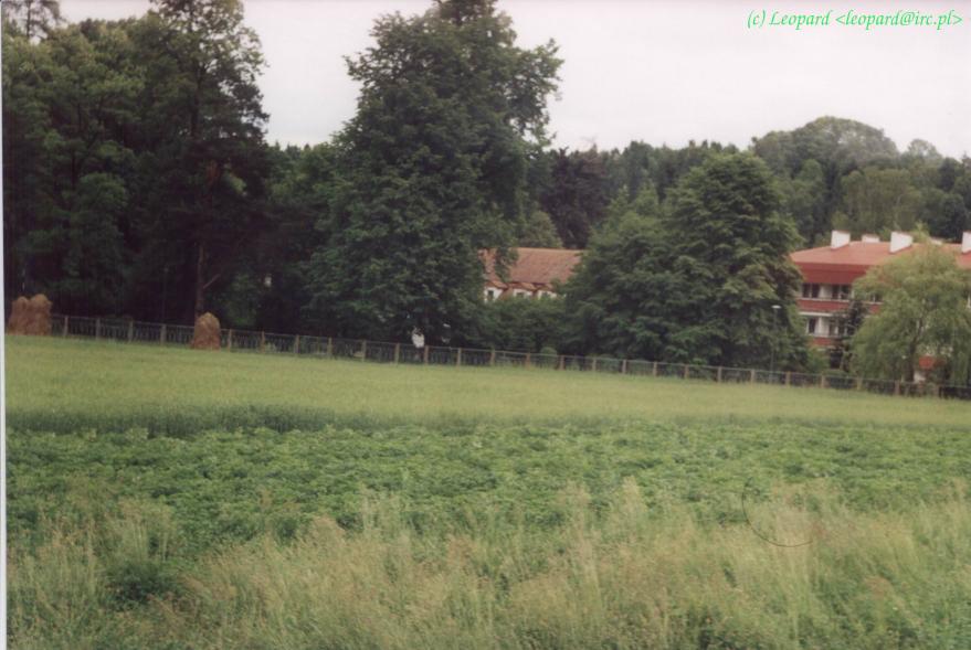 Image-16