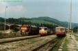 Stara_Lubovnia