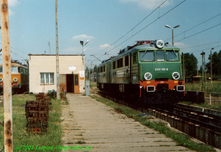 Jamnik1